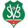 Escudo del Surinam